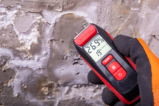 Marshfield, WI Mold Remediation Company